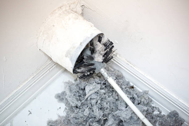 Best Dryer Vent Cleaning Services  in Fritz Creek, AK